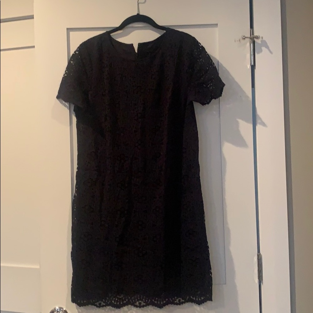 Ann Taylor Navy Short Sleeved Lace Shift Dress